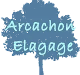Arcachon élagagewebp