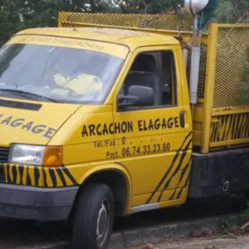 Taille et élagage près de  Gujan-Mestras